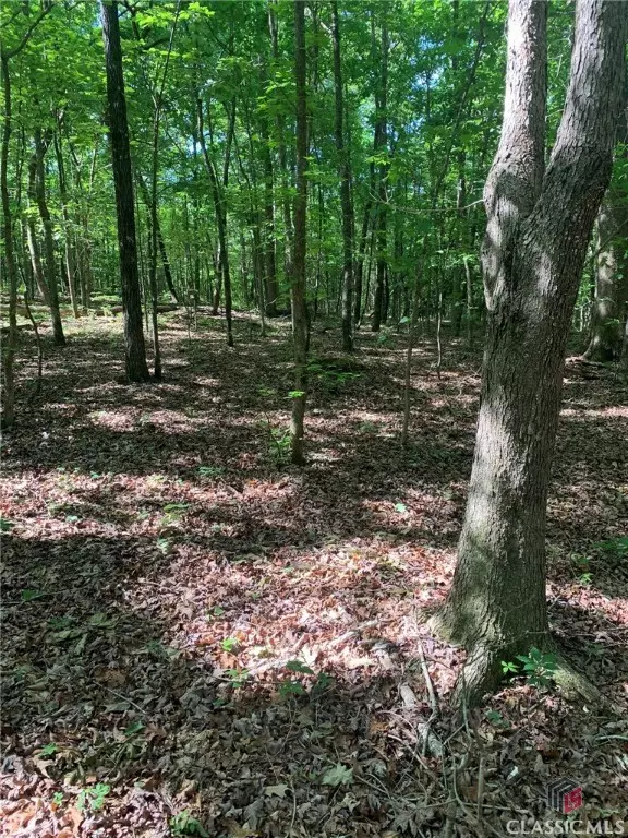 7700 Poole CIR #Tract A, Alto, GA 30510