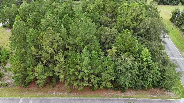 Pembroke, GA 31321,02 Ossie LN