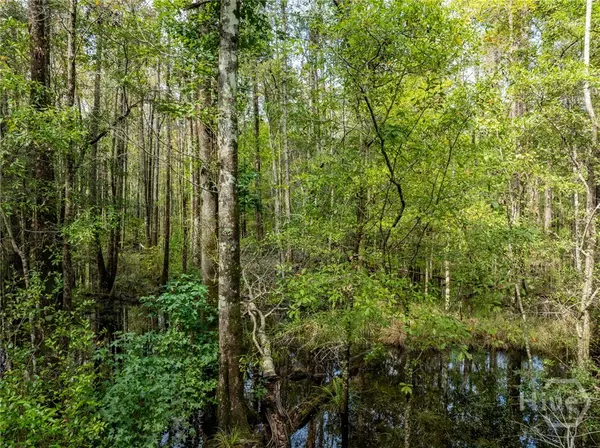 Rincon, GA 31326,0 Hodgeville RD