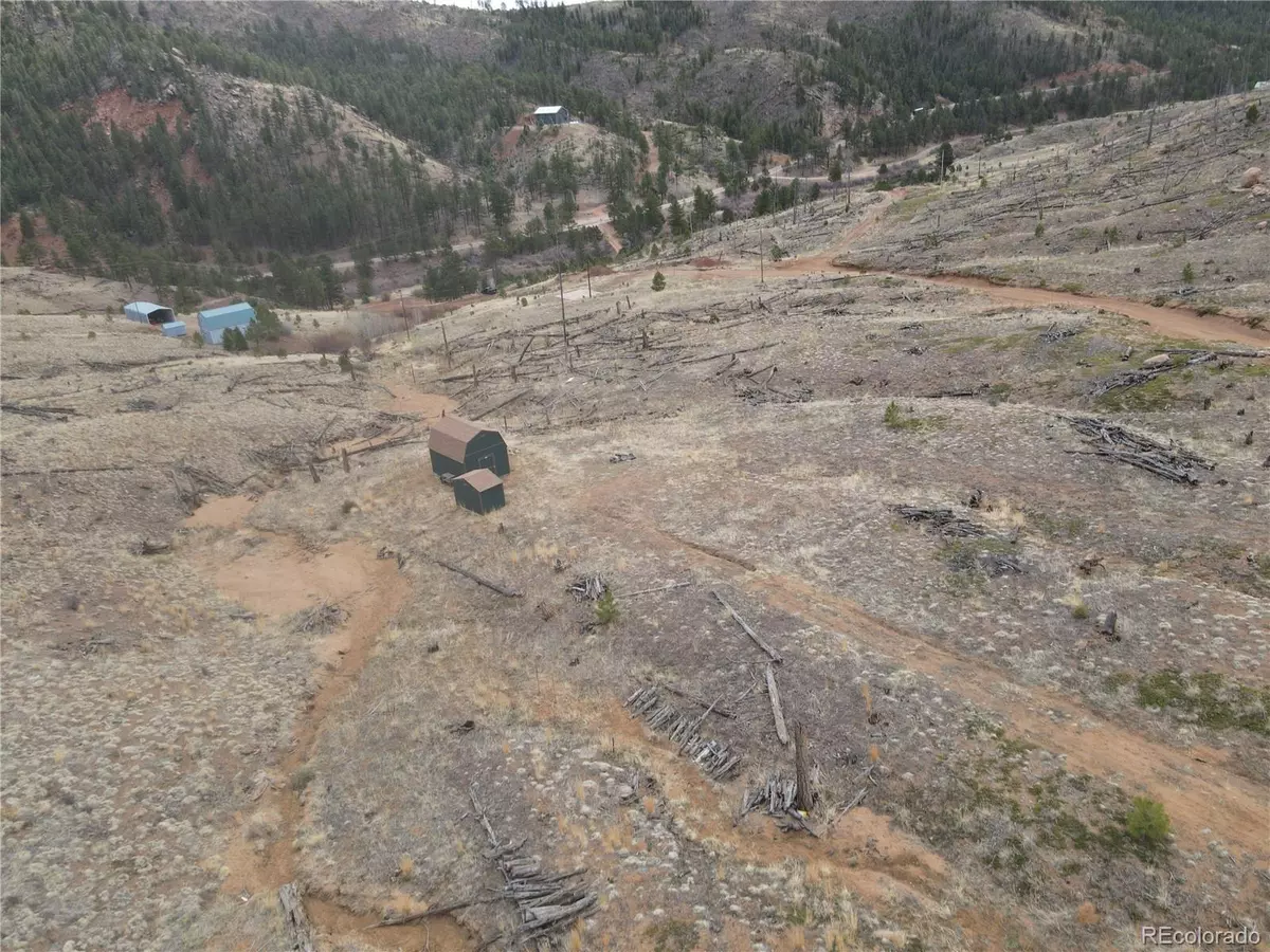 Woodland Park, CO 80863,13821 S Hwy 67