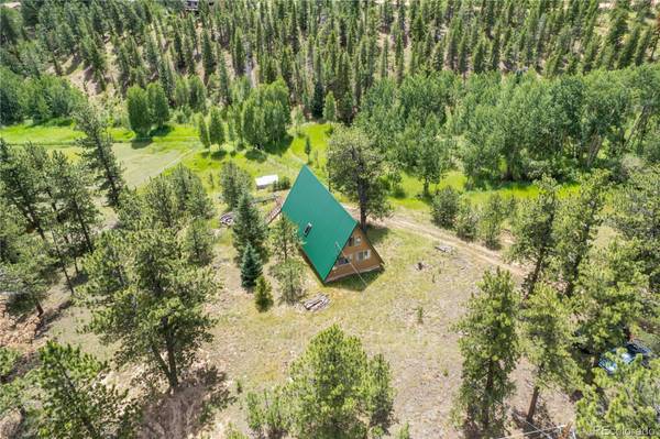 368 Rising Sun RD, Bailey, CO 80421