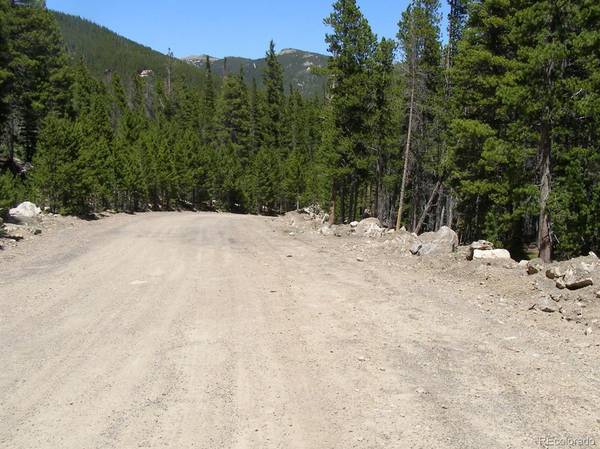 Idaho Springs, CO 80452,000 Upper Forest RD