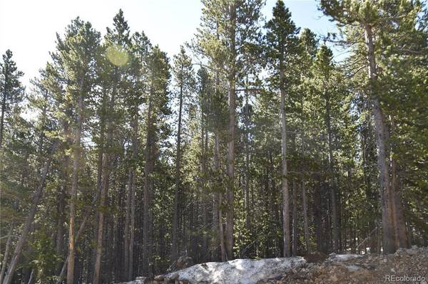 000 Upper Forest RD, Idaho Springs, CO 80452