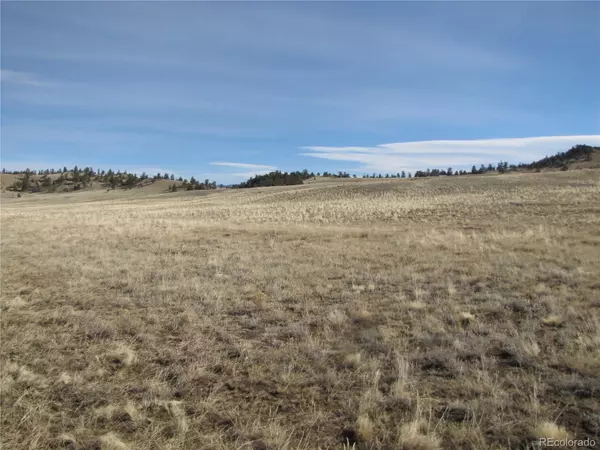 Hartsel, CO 80449,00000 Chickasaw RD