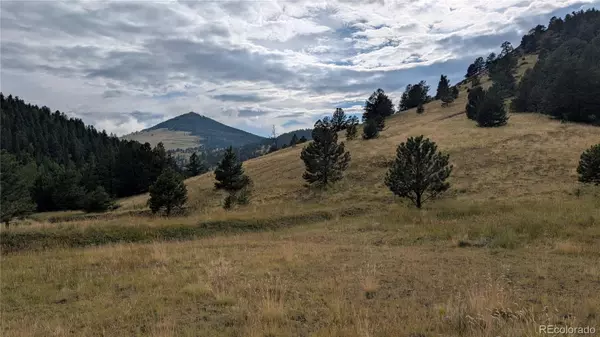 Cripple Creek, CO 80813,842 Monarch DR