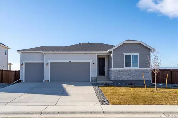 6110 Amerifax DR, Windsor, CO 80528