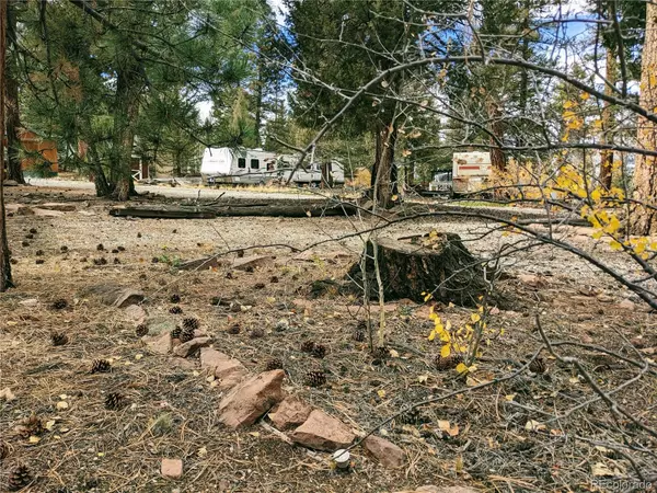 Hartsel, CO 80449,51 Tie WAY