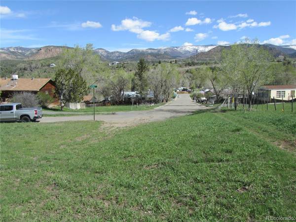 530 Glenarm ST, Collbran, CO 81624