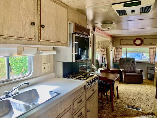 Nathrop, CO 81236,10795 County Road 197A # 160