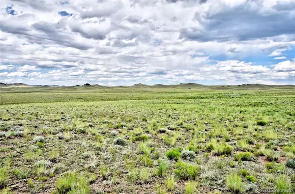 Hartsel, CO 80449,1238 Chicha RD