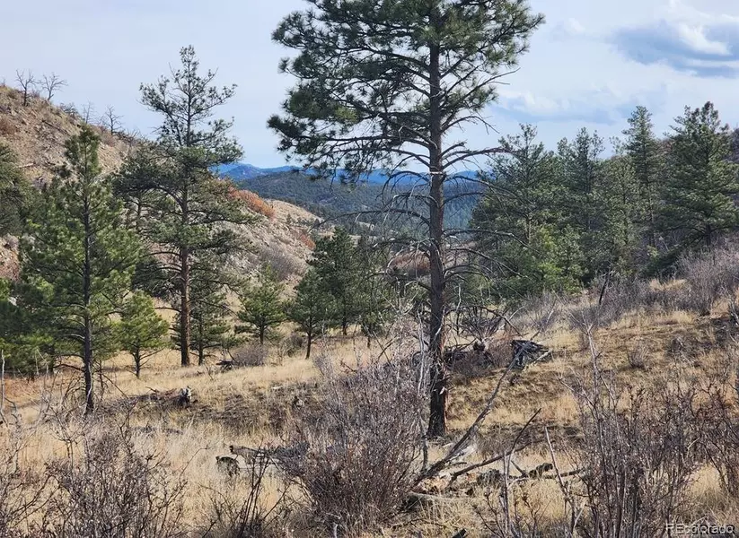 961 SHANNON TRL, Canon City, CO 81212