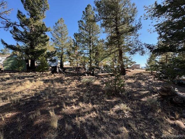 186 Lantern LOOP, Hartsel, CO 80449