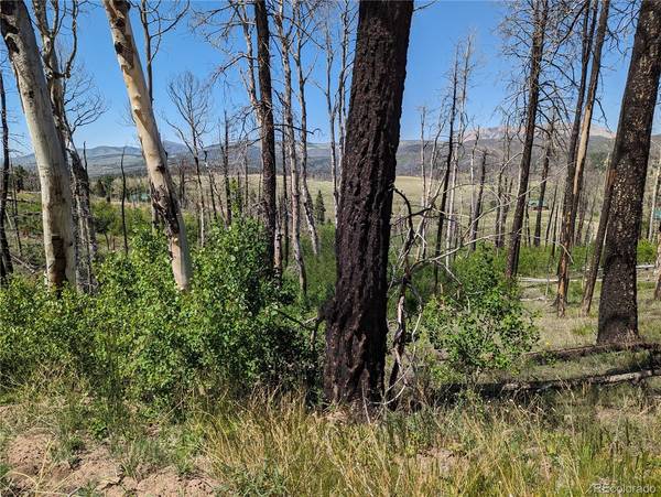 788 Duckworth DR, Fort Garland, CO 81133
