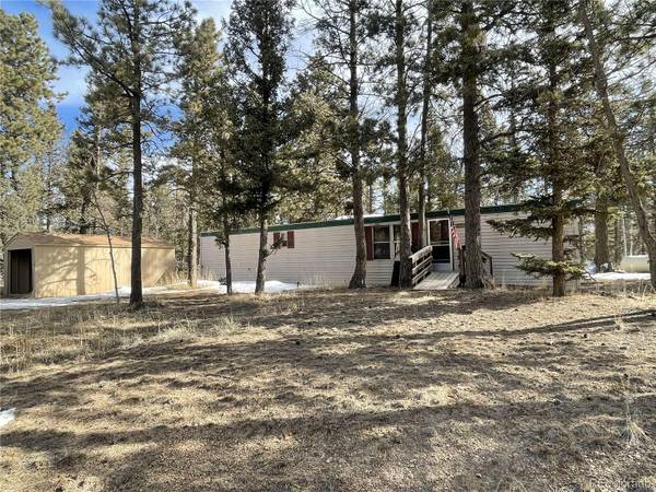 234 Blossom RD, Woodland Park, CO 80863