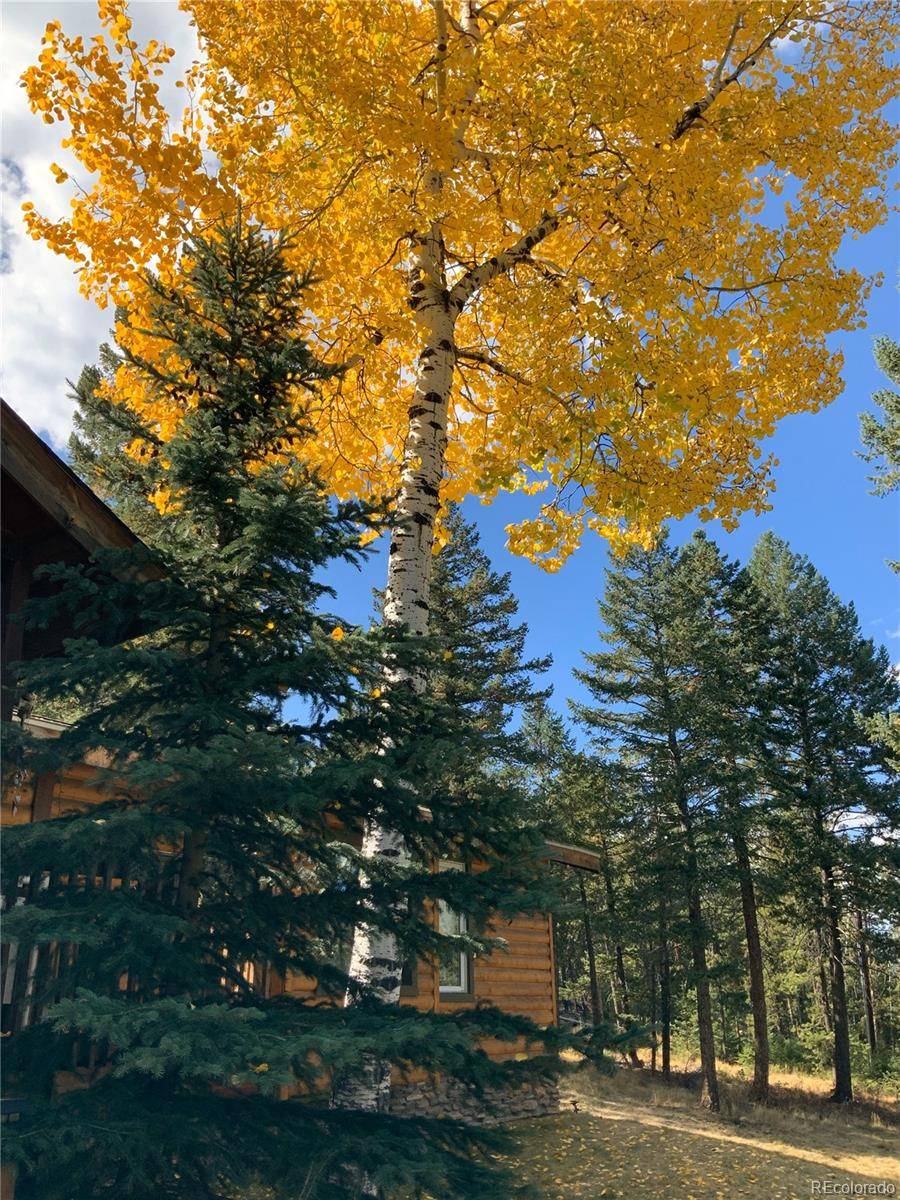 Evergreen, CO 80439,5574 S Twin Spruce DR