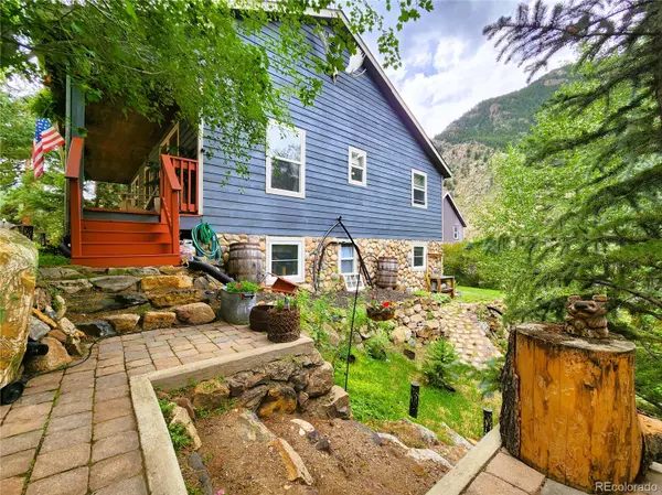 Georgetown, CO 80444,1113 Biddle ST