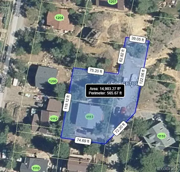 Georgetown, CO 80444,1113 Biddle ST