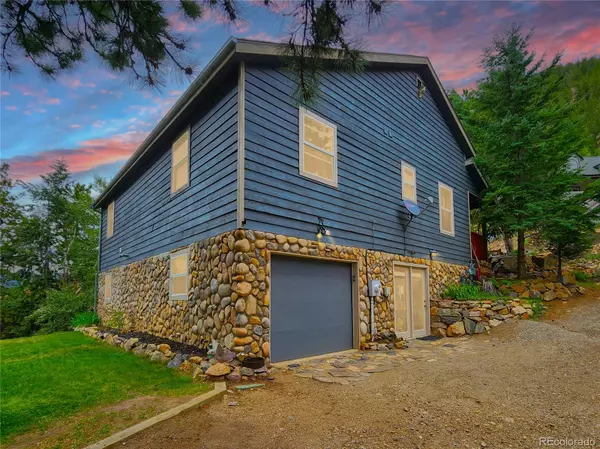 Georgetown, CO 80444,1113 Biddle ST