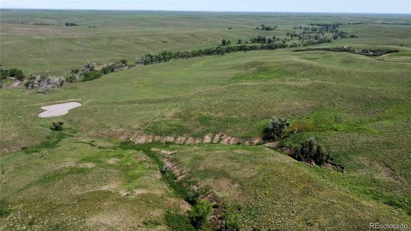 Agate, CO 80105,C County Road 166