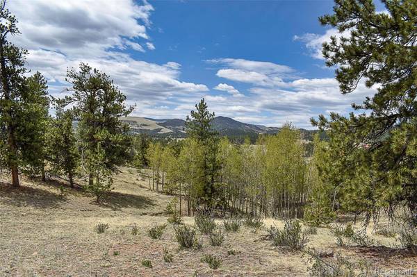 Guffey, CO 80820,422 Buck DR