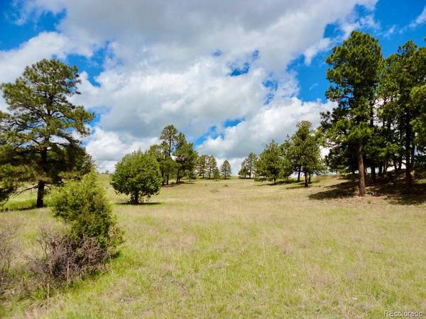 Elbert, CO 80106,Parcel 5 County Road 102