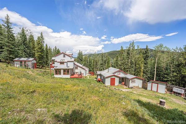 867 Long RD, Idaho Springs, CO 80452