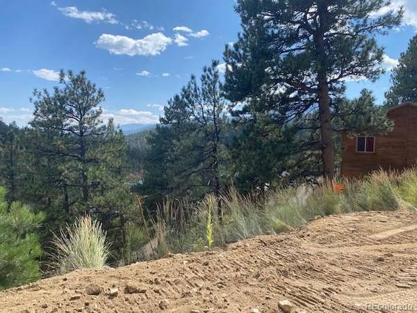 216 Virginia RD, Bailey, CO 80421