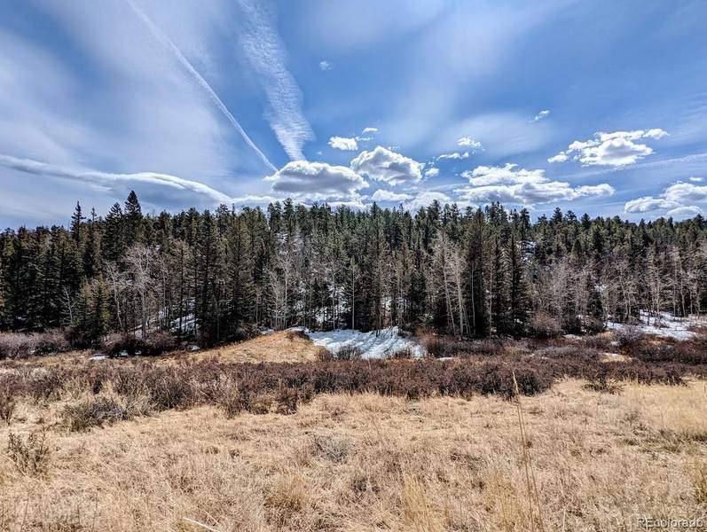 1620 Park Ridge DR, Florissant, CO 80816