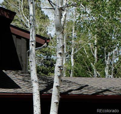 Golden, CO 80401,23936 Currant DR