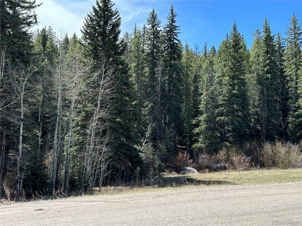 27736 Stagecoach RD,  Conifer,  CO 80433