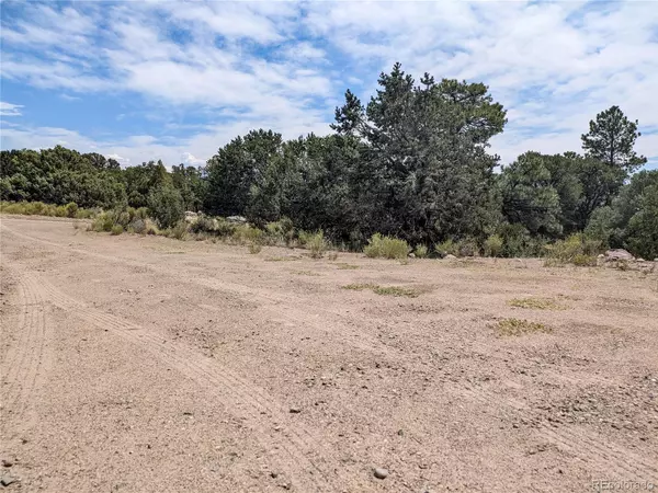 Crestone, CO 81131,600 N Goldmine