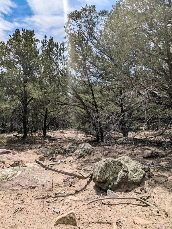 Crestone, CO 81131,600 N Goldmine