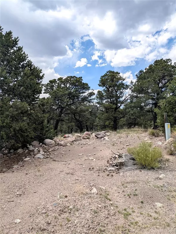 Crestone, CO 81131,600 N Goldmine