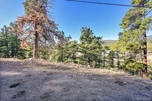Conifer, CO 80433,27292 Ridge TRL