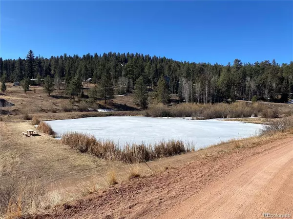 Pine, CO 80470,12373 S Polly DR