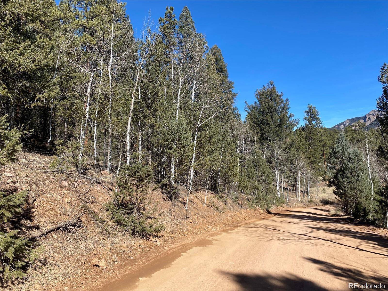 12373 S Polly DR, Pine, CO 80470