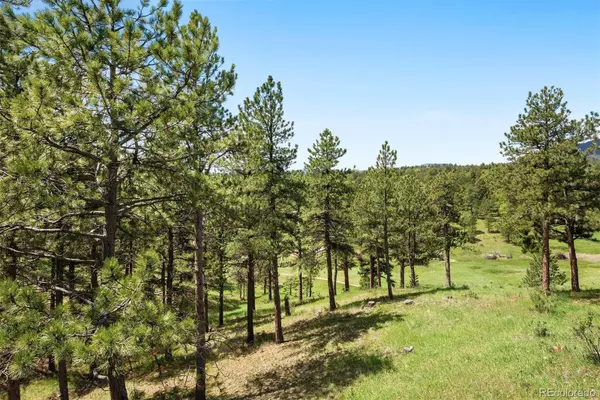 Evergreen, CO 80439,2122 Cramner CT