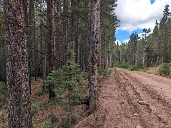 Fort Garland, CO 81133,3022 Bolwell LN