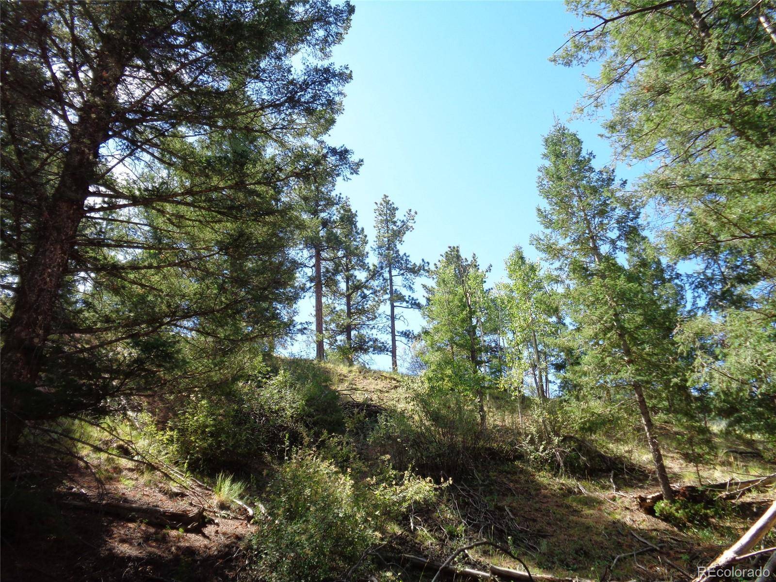 Cripple Creek, CO 80814,186 Alpine DR