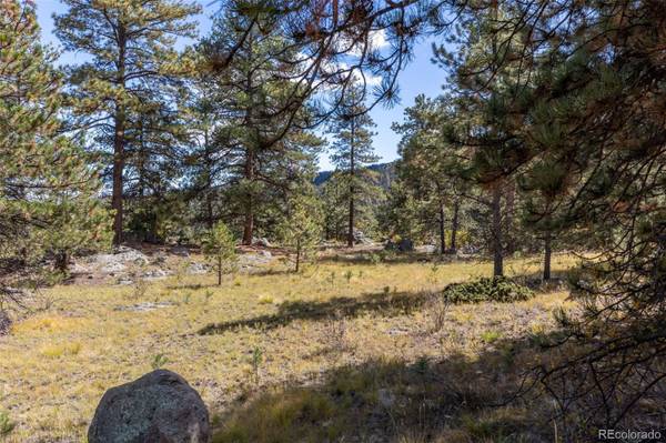 195 Sweet Gum LN, Canon City, CO 81212