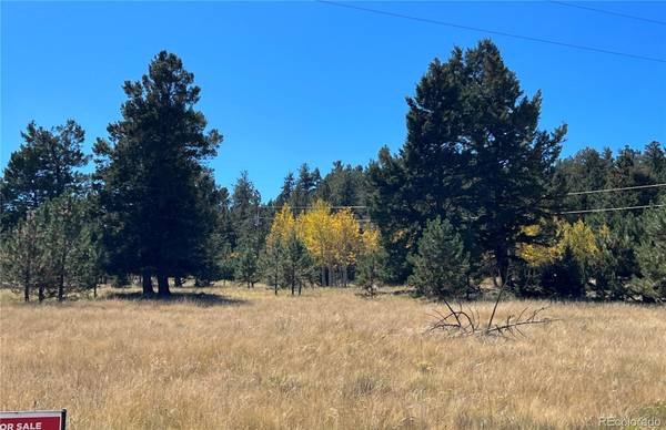 9430 Ranch RD, Hartsel, CO 80449