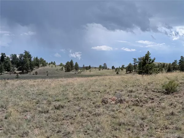 Hartsel, CO 80449,Black Beaver/Keechi RD