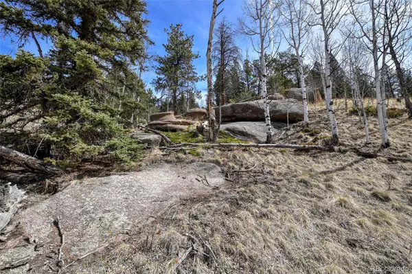 Divide, CO 80814,926 W Bison Creek TRL