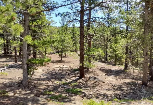 Black Hawk, CO 80422,13 Paradise Valley Pkwy