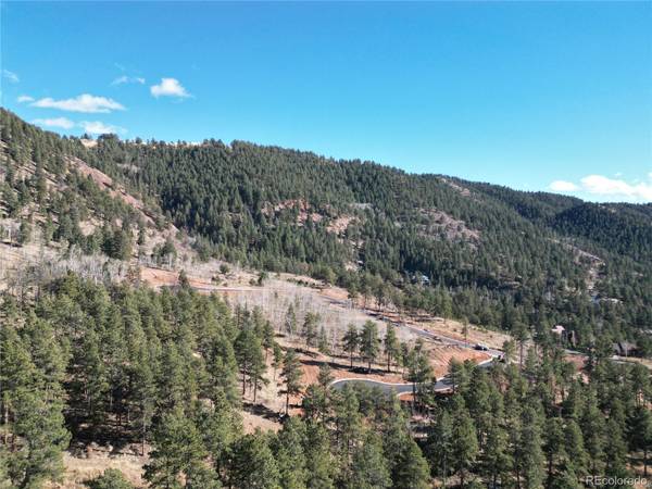 Woodland Park, CO 80863,Lot 8 Red Haven PL