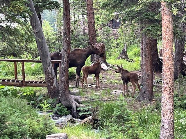 Idaho Springs, CO 80452,10 Stuart Vista CT