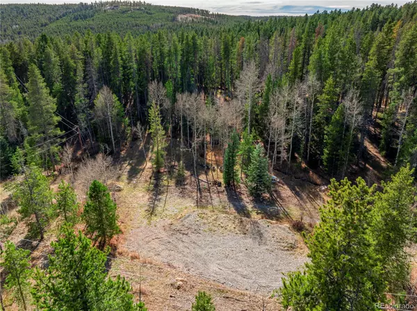 Conifer, CO 80433,Lot 216620 Indian Springs RD