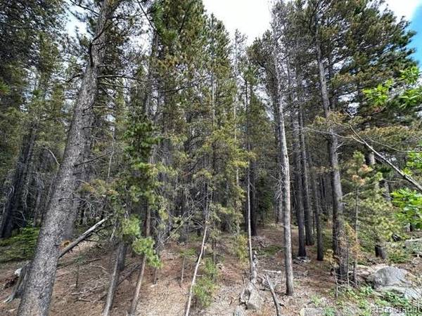 Idaho Springs, CO 80452,Saint Mary's LOT 26U1