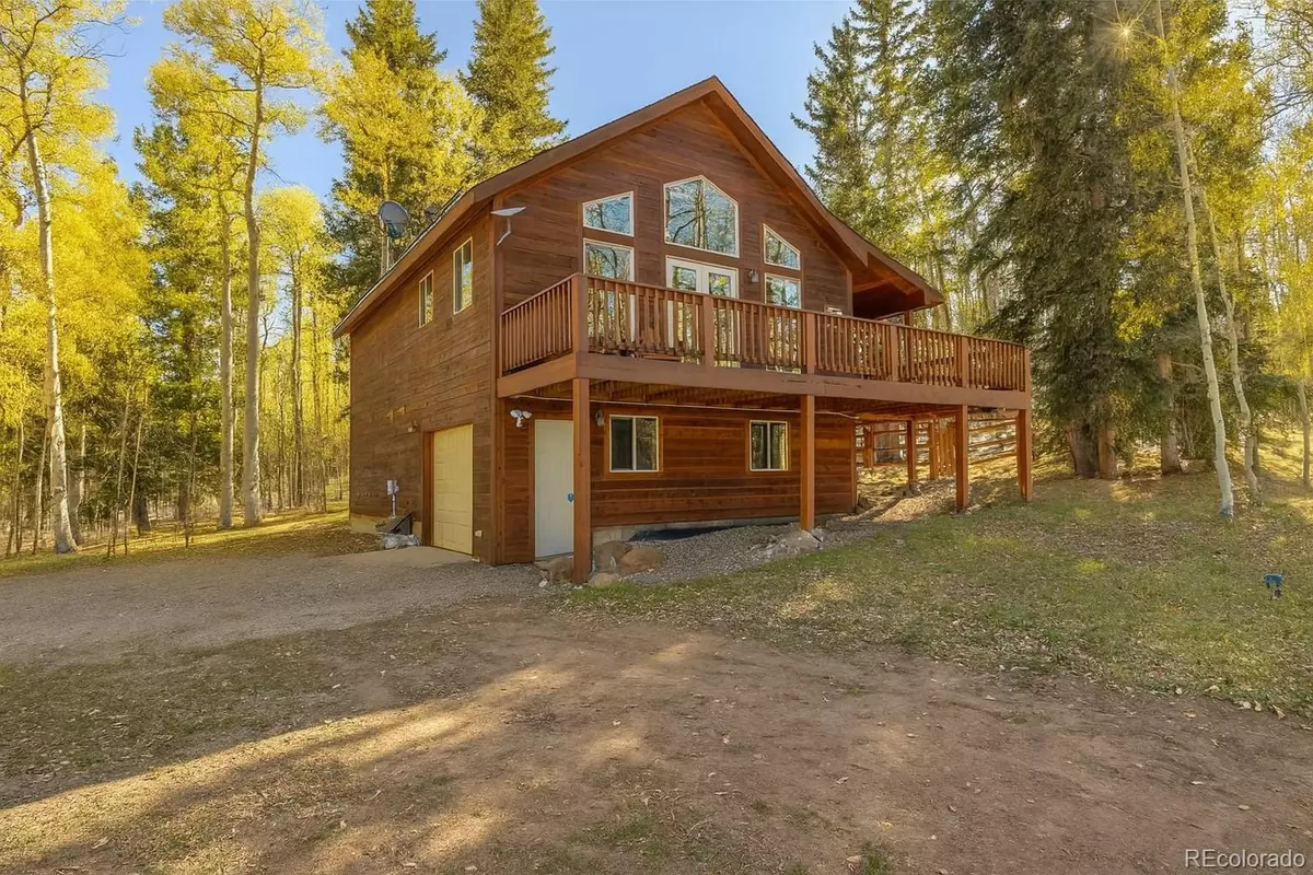 Fairplay, CO 80440,1333 High Creek RD