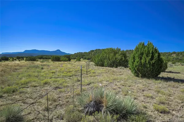 Trinidad, CO 81082,37250 Kunzite RD